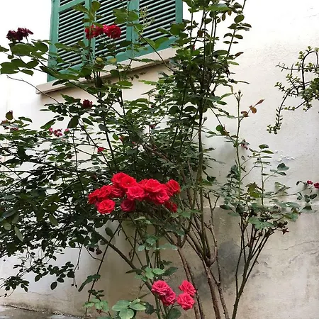 Apartment Theonos 10 Nicosia